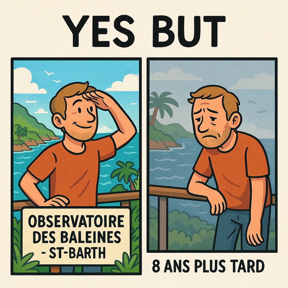 YES — "Observatoire des baleines", oui… mais faut avoir beaucoup de chance !